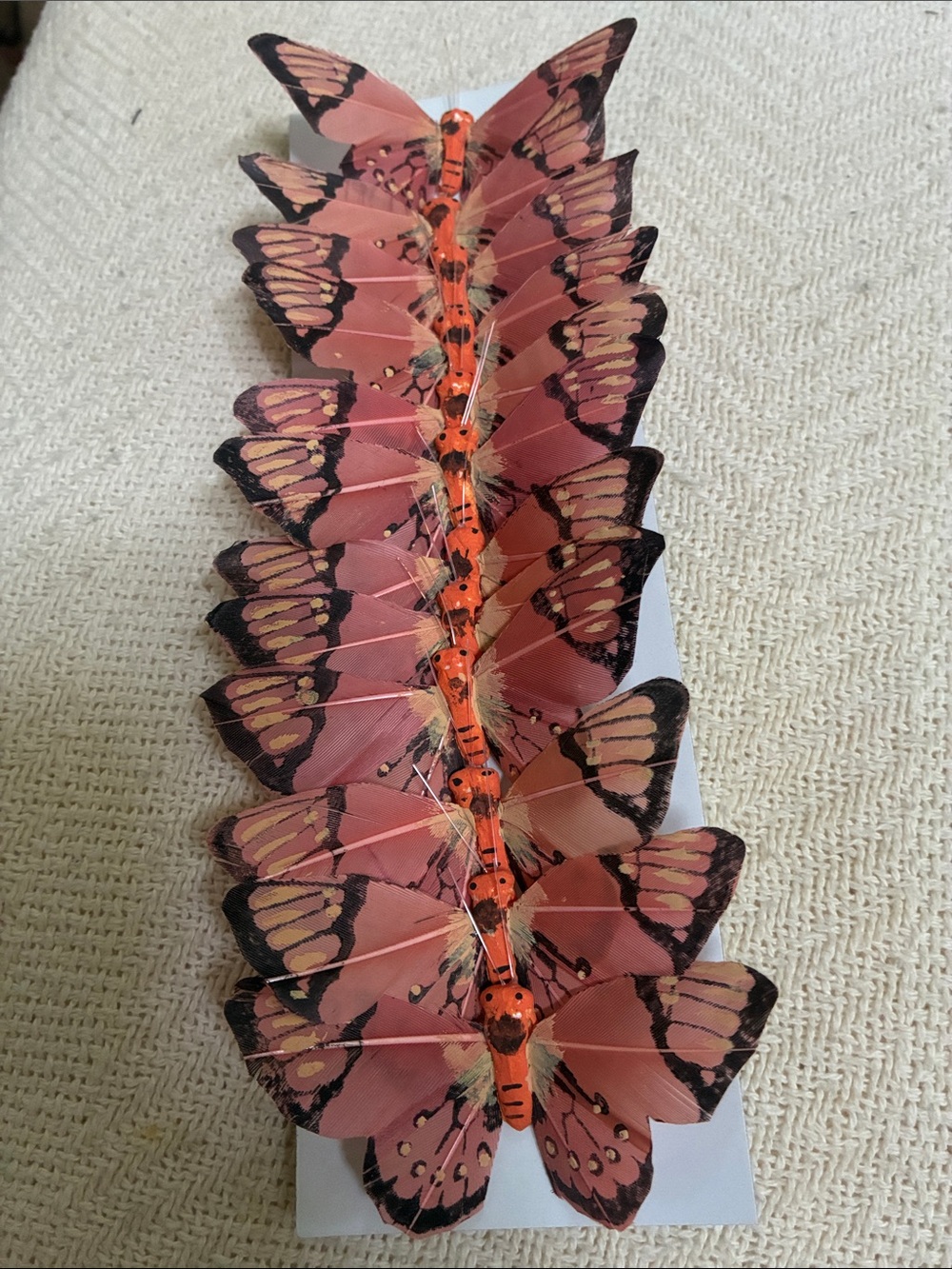 Brown, Coral, Tan, Orange 3”Butterflies w/ foam body&feather wings! 12 per box